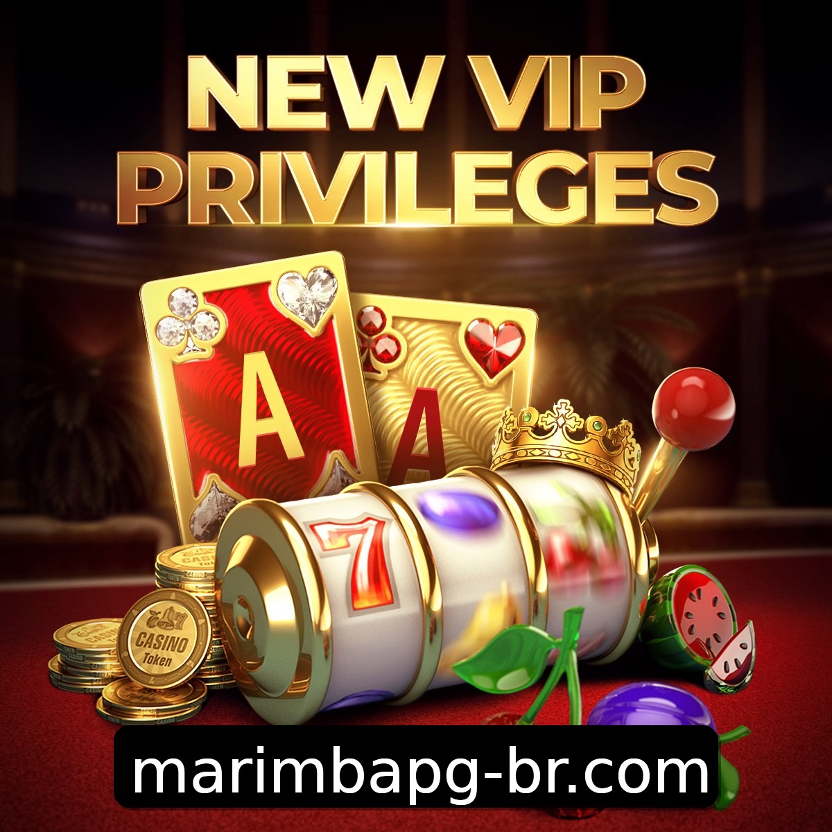 Programa VIP marimbapg